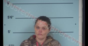 AMBER NICOLE DENTON | 2019-01-03 13:08:00 Bourbon County, Kentucky Booking