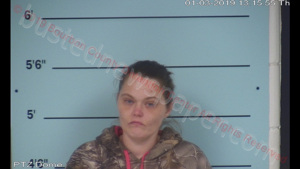 AMBER NICOLE DENTON #, Bourbon County, Kentucky - 2019-01-03 13:08:00