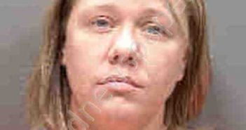 MCKINNIE, TEREASA | 2019-01-04 Sarasota County, Florida Booking