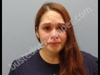 HERNANDEZ CRYSTAL ANN | 2019-01-06 Erie County, Ohio Booking