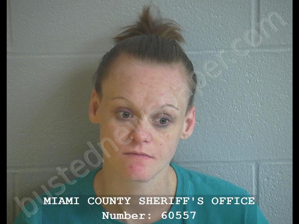MOWEN, REBECCA LYNN #, Miami County, Ohio - 2019-01-06 12:35:00