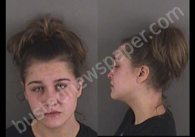 HANEY, ALEXIS LEE #, Gaston County, North Carolina - 2019-01-06 06:28:00