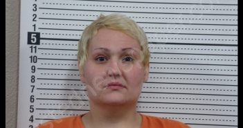 ADREN CARLEEN ROMO | 2019-01-07 17:21:00 Scott County, Missouri Booking
