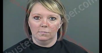 KRISTEN BROWN PURDY | 2019-01-07 09:53:00 Anderson County, South Carolina Booking