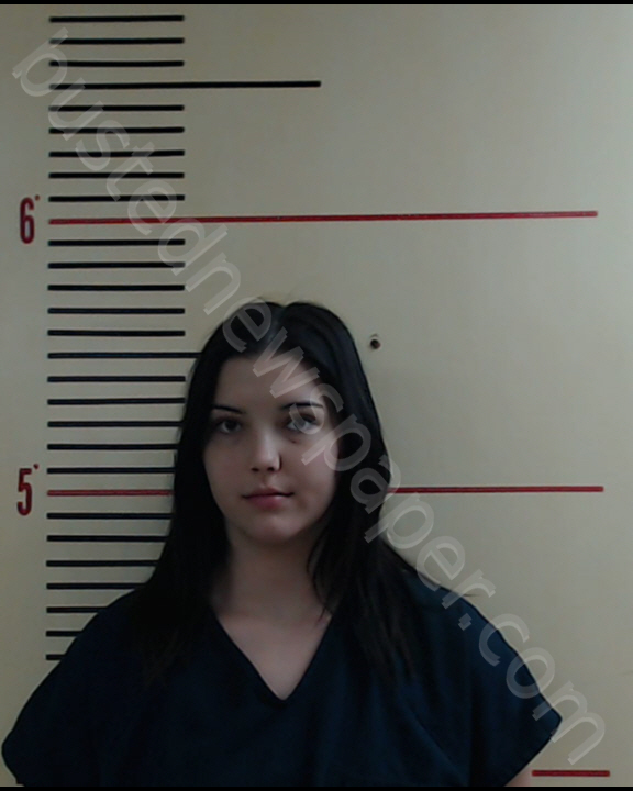 PAYNE, TAYLOR EMERY #, Parker County, Texas - 2019-01-07
