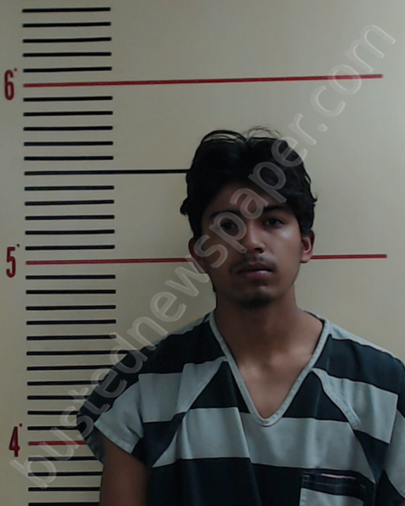 RODRIGUEZ, MIGUEL ANGEL #, Parker County, Texas - 2019-01-07