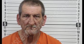 RONNIE LEE WARNING | 2019-01-07 09:15:00 Scott County, Missouri Booking