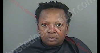 HILDA DYSON | 2019-01-07 12:05:00 Anderson County, South Carolina Booking