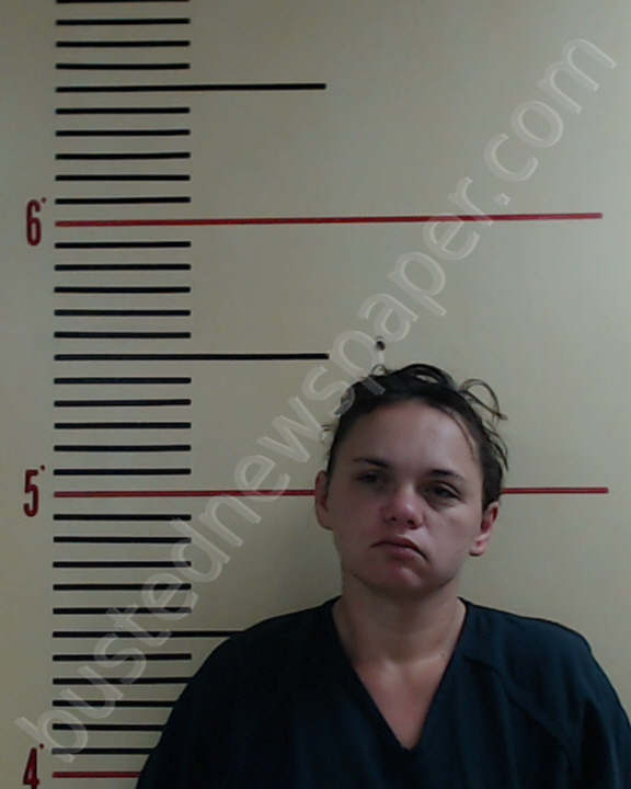 HOLDER, ANGEL MARIE #, Parker County, Texas - 2019-01-07
