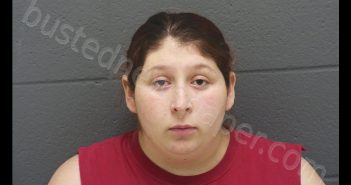 MIRANDA CRISTINA JOHNSON | 2019-01-08 11:20:00 Montgomery County, Indiana Booking