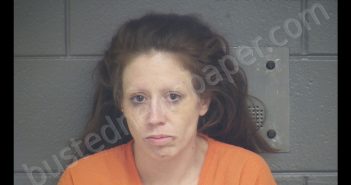 JAMI NICOLE WHITLEY | 2019-01-08 17:32:00 Scott County, Kentucky Booking