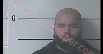 BRANDON M JENNINGS | 2019-01-08 14:34:00 Boyd County, Kentucky Booking