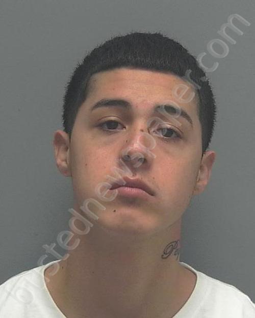 PEQUENO, JESUS III #, Lee County, Florida - 2019-01-08 12:42:00