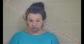 STACY BARDIN | 2019-01-08 22:15:00 Taylor County, Kentucky Booking