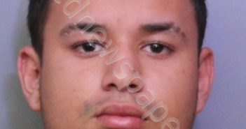 IRLANDA, ALEX <B>JAVIER</B> <B>DE</B> <B>JESUS</B> #, Polk County, Florida - 2019-01-08
