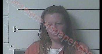 MONICA R DELAWDER | 2019-01-08 11:16:00 Boyd County, Kentucky Booking