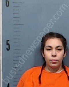 ALVAREZ, BRENDA | 2019-01-09 Taylor County, Texas Booking