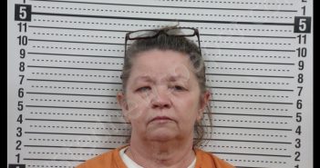 ANGELA SUE GOODMAN | 2019-01-09 15:26:00 Scott County, Missouri Booking