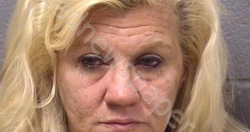 GAVARIS, KIMBERLY D | 2019-01-10 09:54:00 Will County, Illinois Booking