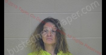 TELINA F. SEITZ | 2019-01-10 23:49:00 Taylor County, Kentucky Booking