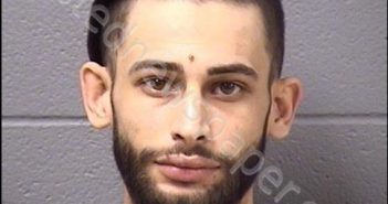 SHNENAH, ATA A | 2019-01-10 10:47:00 Will County, Illinois Booking