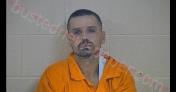 HOWARD W GRIBBINS | 2019-01-11 17:48:00 Taylor County, Kentucky Booking