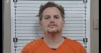 ROBERT STEPHEN WARNER | 2019-01-11 16:48:00 Scott County, Missouri Booking