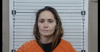 BRITTANY JEAN TIDWELL | 2019-01-11 16:30:00 Scott County, Missouri Booking