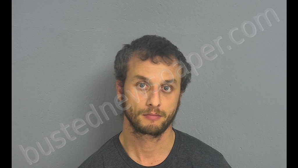 DUSTIN GENE DEBIASE #, Greene County, Missouri - 2019-01-11 19:06:00