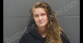 HILARY HUBBLE | 2019-01-11 19:02:00 Montgomery County, Indiana Booking