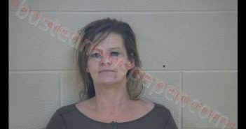 STEPHANIE E WOLFE | 2019-01-11 21:51:00 Taylor County, Kentucky Booking