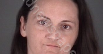 ELLIOTT, <B>MELISSA</B> <B>ANN</B> #, Pasco County, Florida - 2019-01-11 20:20:00