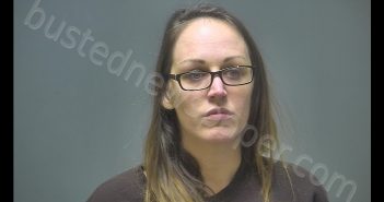 DANYLE MARY LAVIGNE | 2019-01-12 01:48:00 Isabella County, Michigan Booking
