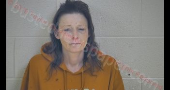 HOLLY MARIE ABELL | 2019-01-12 19:50:00 Taylor County, Kentucky Booking