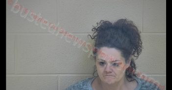 DREAMA S WITHROW | 2019-01-12 17:01:00 Taylor County, Kentucky Booking