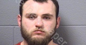 HARRINGTON, MICHAEL J | 2019-01-12 02:39:00 Will County, Illinois Booking