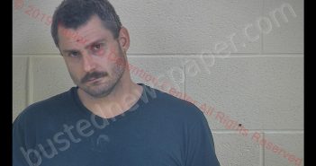 BOBBY MULL | 2019-01-13 00:33:00 Taylor County, Kentucky Booking