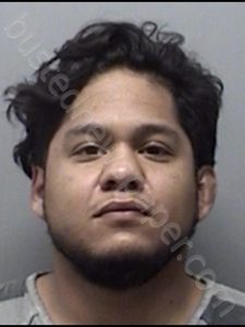 LOPEZ, JONATHAN ALEXIS | 2019-01-13 Wise County, Texas Booking