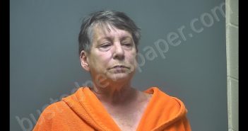 KATHLEEN SUE LETSON | 2019-01-13 15:13:00 Isabella County, Michigan Booking