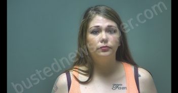 TARA LYNN CHVATAL | 2019-01-13 00:54:00 Isabella County, Michigan Booking