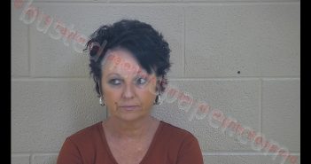 REBECCA L POSEY | 2019-01-14 11:33:00 Taylor County, Kentucky Booking