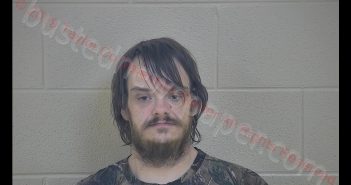 DAVID LYLE RUSSELL | 2019-01-14 13:47:00 Taylor County, Kentucky Booking