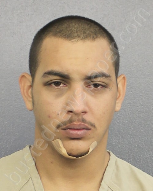 HANNA, TRAVIS AJODHIA #, Broward County, Florida - 2019-01-14