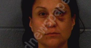 <B>GONZALES</B>, JENNIFER <B>MICHELLE</B> #, Williamson County, Texas - 2019-01-15