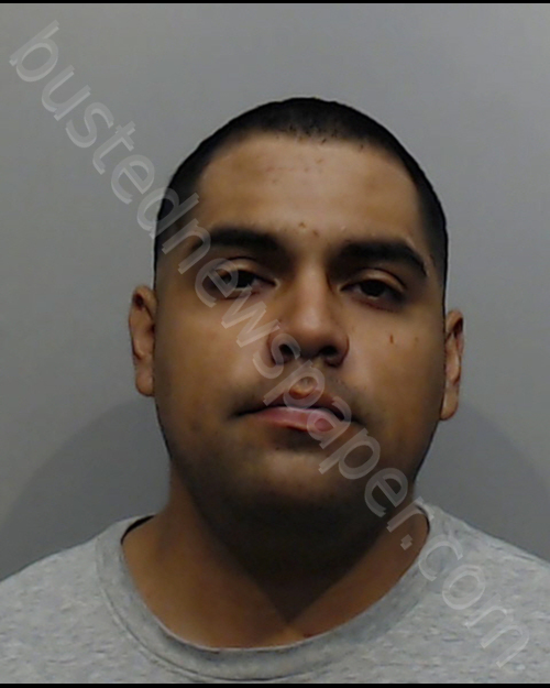 RODRIGUEZ, FREDDIE, III #, Hays County, Texas - 2019-01-15