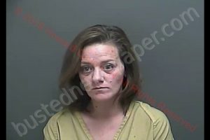 AMANDA KATHRYN HATTEN | 2019-01-16 19:12:37 Howard County, Indiana Booking