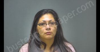 ELIZABETH ANN RAMIREZ | 2019-01-16 09:51:00 Isabella County, Michigan Booking