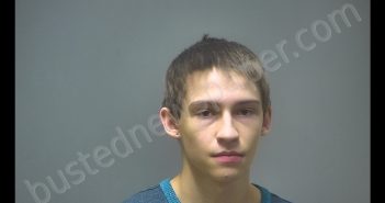 AARIC JOSEPH FAIRCHILD | 2019-01-16 22:29:00 Isabella County, Michigan Booking