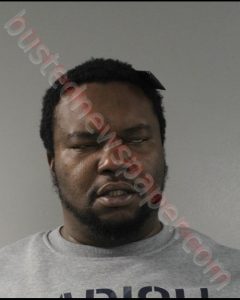 MICHAEL JAMES LEWIS | 2019-01-16 Southwest Regional Jail, Virginia Booking