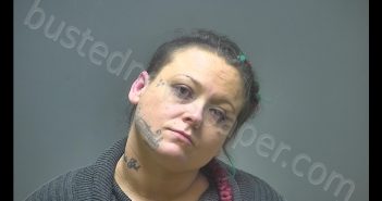 <B>CAROL</B> <B>ANN</B> <B>MEAD</B> #, Isabella County, Michigan - 2019-01-17 12:01:00